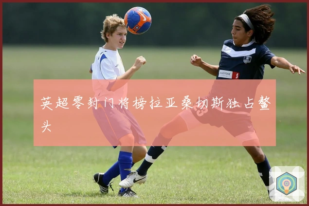 英超零封门将榜拉亚桑切斯独占鳌头