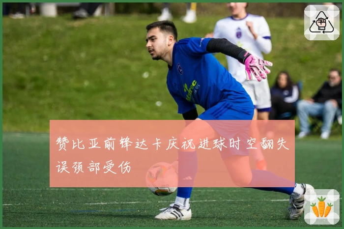 赞比亚前锋达卡庆祝进球时空翻失误颈部受伤